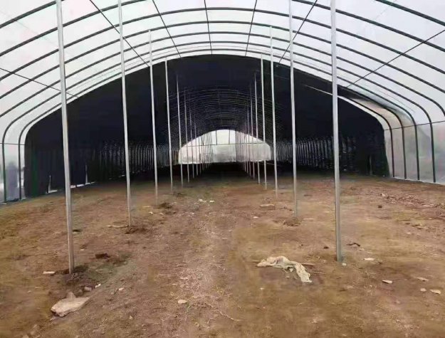 大棚管